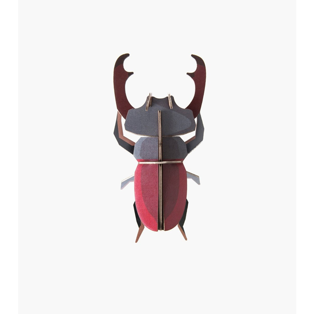 Stag beetle - SuperMatique