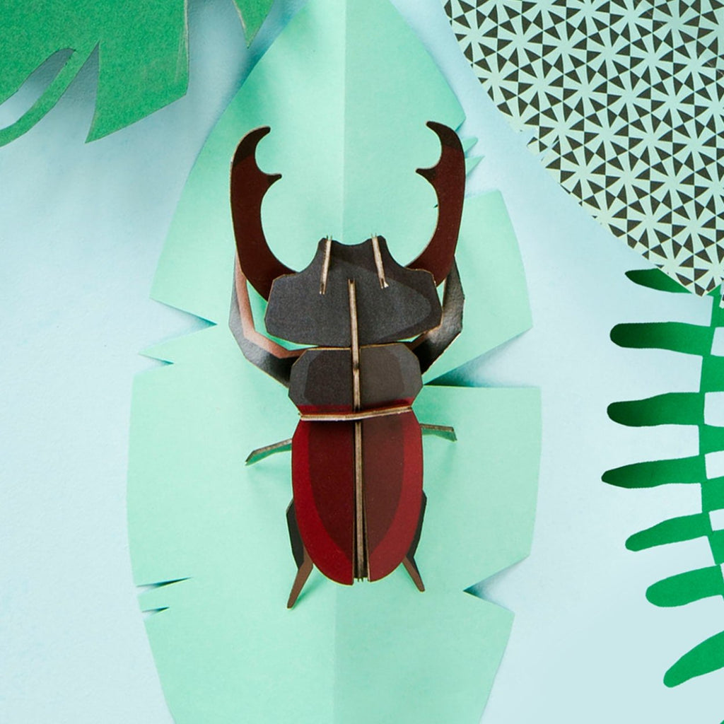 Stag beetle - SuperMatique
