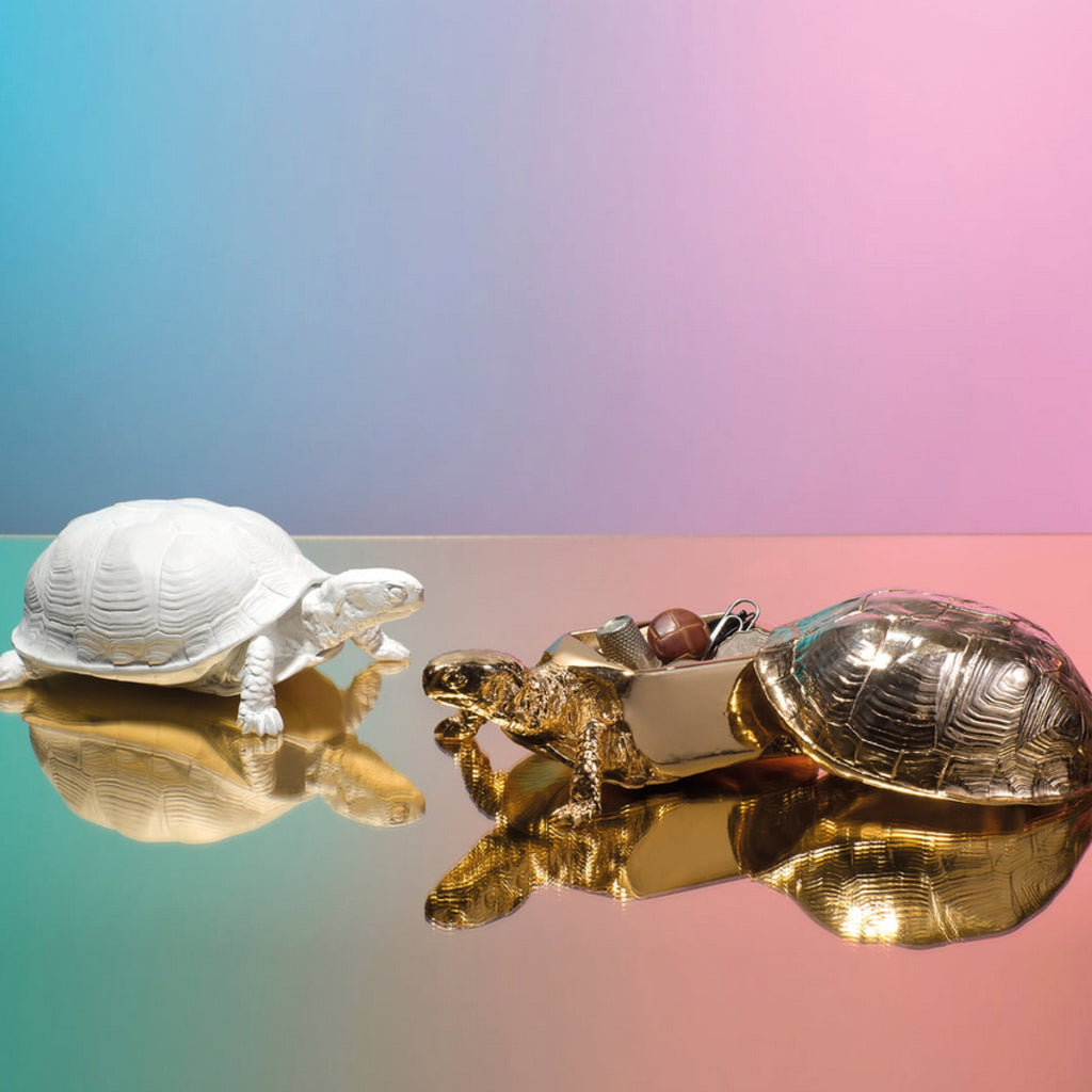 Turtle Reality Box - SuperMatique