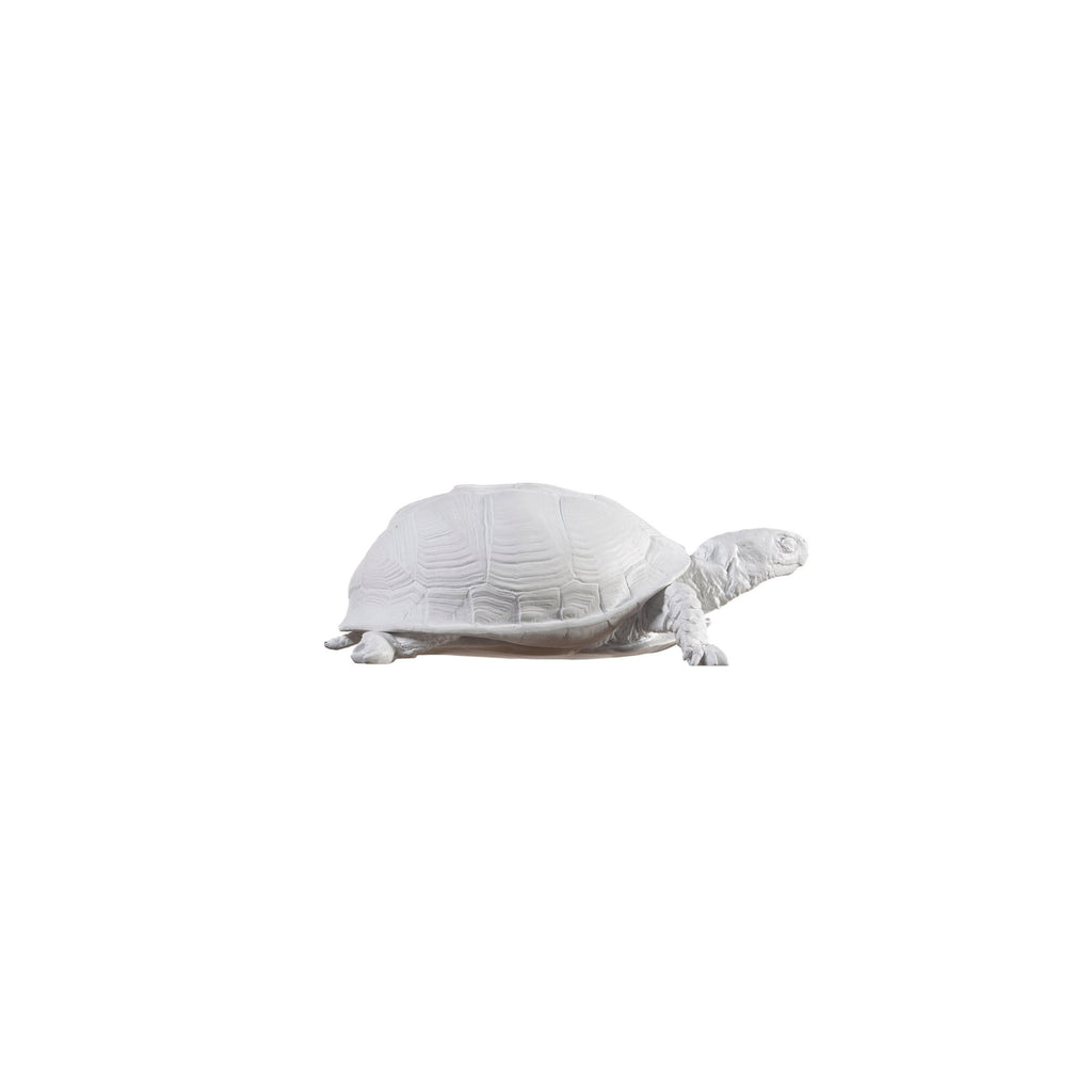 Turtle Reality Box - SuperMatique