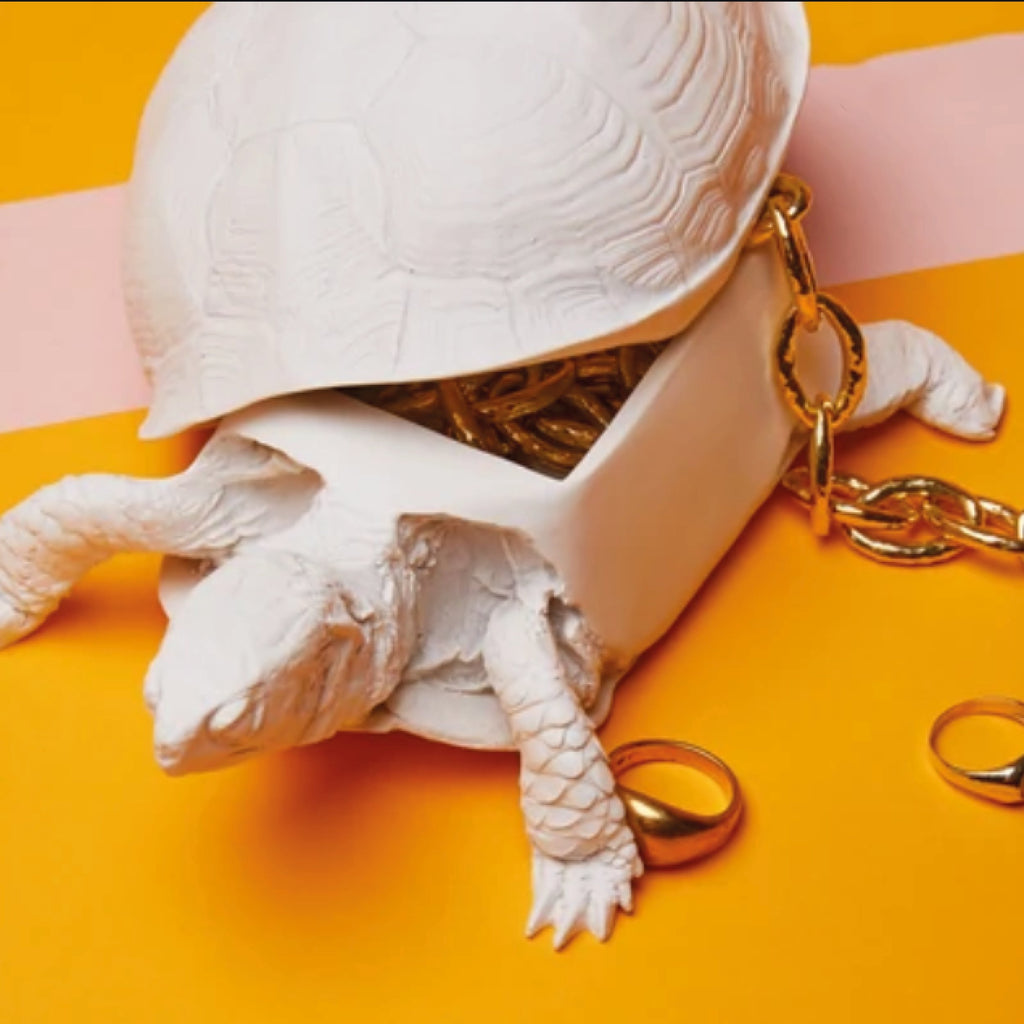 Turtle Reality Box - SuperMatique